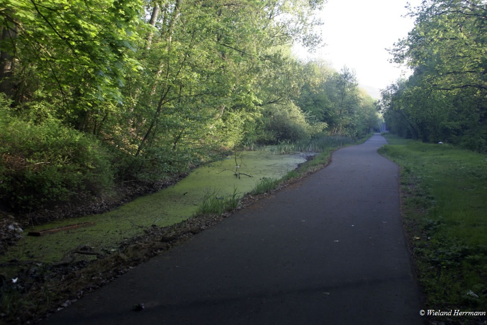 Huenxer Wald_